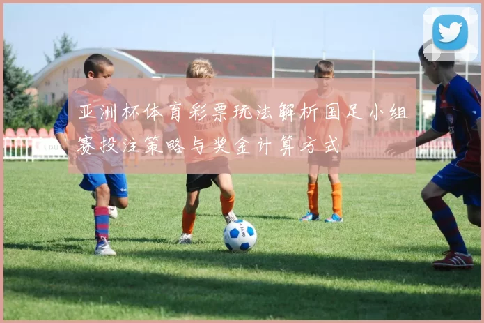 亚洲杯体育彩票玩法解析国足小组赛投注策略与奖金计算方式