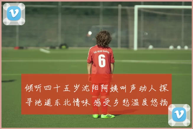 倾听四十五岁沈阳阿姨叫声动人 探寻地道东北情味 感受乡愁温度悠扬