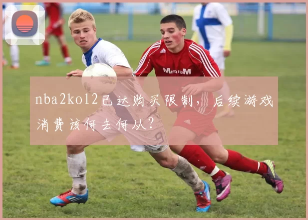 nba2kol2已达购买限制，后续游戏消费该何去何从？